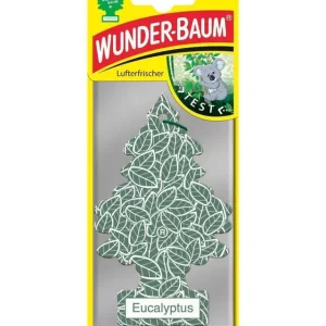 WUNDER BAUM CHOINKA ZAPACHOWA Eucalyptus | Kup teraz