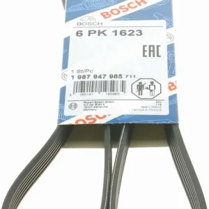 Bestseller | PASEK WIELOROWKOWY 6PK1623