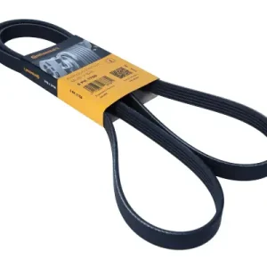 Bestseller - PASEK WIELOROWKOWY 5PK1750