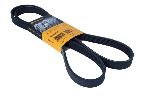 Outlet - PASEK WIELOROWKOWY 6PK1693