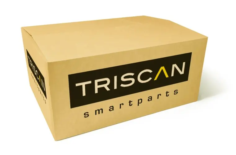 Pierścień absyczny TRISCAN 8540 28410 - Cena fabryczna
