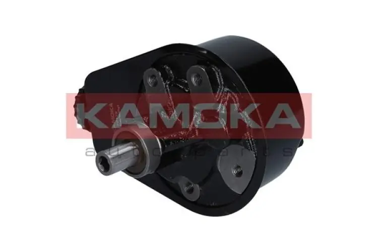Nie zwlekaj | POMPA WSPOMAGANIA KAMOKA PP175 491102638R RENAULT MEGANE I 96